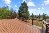 10126 Cinnamon Teal Drive - Photo 16