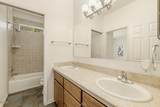 10126 Cinnamon Teal Drive - Photo 59