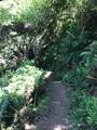 0 Forest Street - Photo 13