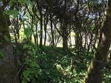 0 Forest Street - Photo 15