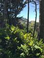 0 Forest Street - Photo 7