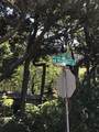 0 Forest Street - Photo 9