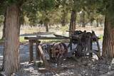 17521 Forked Horn - Photo 41
