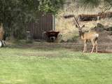 64100 N Highway 97 - Photo 38