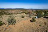 10091 Shad Road - Photo 30