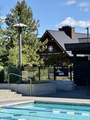 19238 Solomon Drive - Photo 51