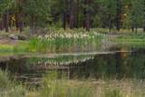 56370 Fireglass Loop - Photo 46