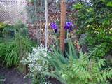 1001 15th Street - Photo 23
