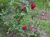 1001 15th Street - Photo 31