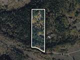 1700 Tyler Creek Road - Photo 50