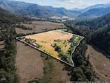 12974 Evans Creek Road - Photo 29