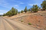 12293 Vista Loop - Photo 10