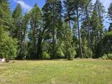4299 Dick George Road - Photo 12