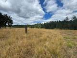 5345 Westside Road - Photo 24