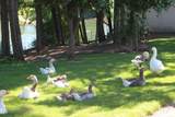 5061 Lower River Road - Photo 57