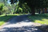 5061 Lower River Road - Photo 7