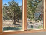 11176 Desert Sky Loop - Photo 8