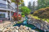 921 Beacon Drive - Photo 67