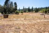 1329 Larson Road - Photo 16