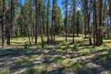29001 Duncan Creek - Photo 29