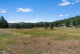 29001 Duncan Creek - Photo 35
