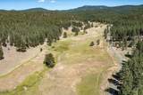 29001 Duncan Creek - Photo 49