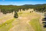 29001 Duncan Creek - Photo 51
