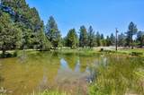 21955 Rickard Road - Photo 81