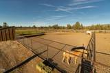 16470 Highway 126 - Photo 41