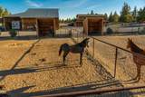 16470 Highway 126 - Photo 43