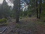 31276 Seal Lane - Photo 38