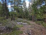 31276 Seal Lane - Photo 43