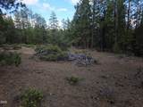 31276 Seal Lane - Photo 44