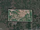 3840 Beagle Road - Photo 30