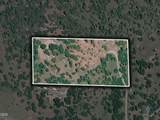 3840 Beagle Road - Photo 32