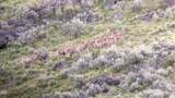 5872 John Day Highway - Photo 33