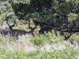 5872 John Day Highway - Photo 38