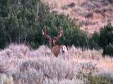 5872 John Day Highway - Photo 40