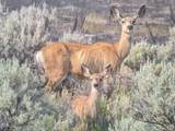 5872 John Day Highway - Photo 41