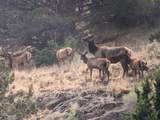 5872 John Day Highway - Photo 44