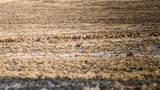 5872 John Day Highway - Photo 46