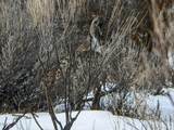5872 John Day Highway - Photo 47