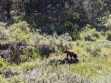 5872 John Day Highway - Photo 49