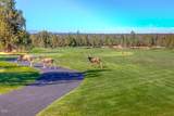 320 Split Rail Lane - Photo 48