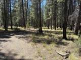 16160 Mountain Sheep Lane - Photo 30