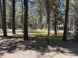 16160 Mountain Sheep Lane - Photo 31