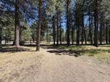 16160 Mountain Sheep Lane - Photo 34
