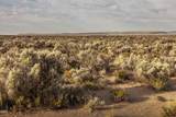 96311 Christmas Valley Highway - Photo 10