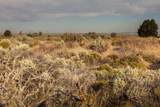 96311 Christmas Valley Highway - Photo 12