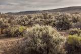 96311 Christmas Valley Highway - Photo 15